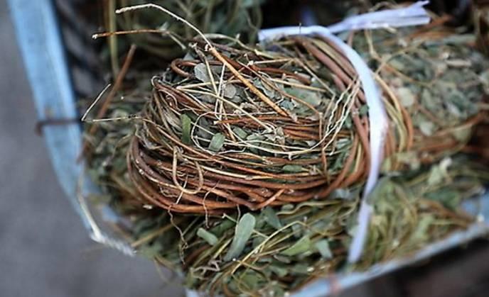 广东婆婆煲广东靓汤,外来媳妇本地郎煲汤