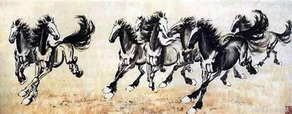 马肉茶叶好喝吗,茶叶马肉是什么味道