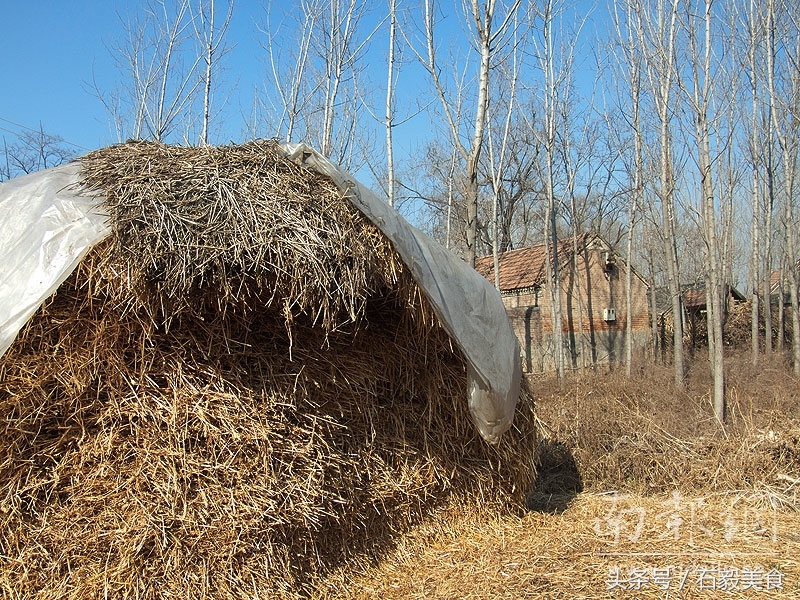 机器灵砍菜刀张卫,机器灵砍菜刀曲谱