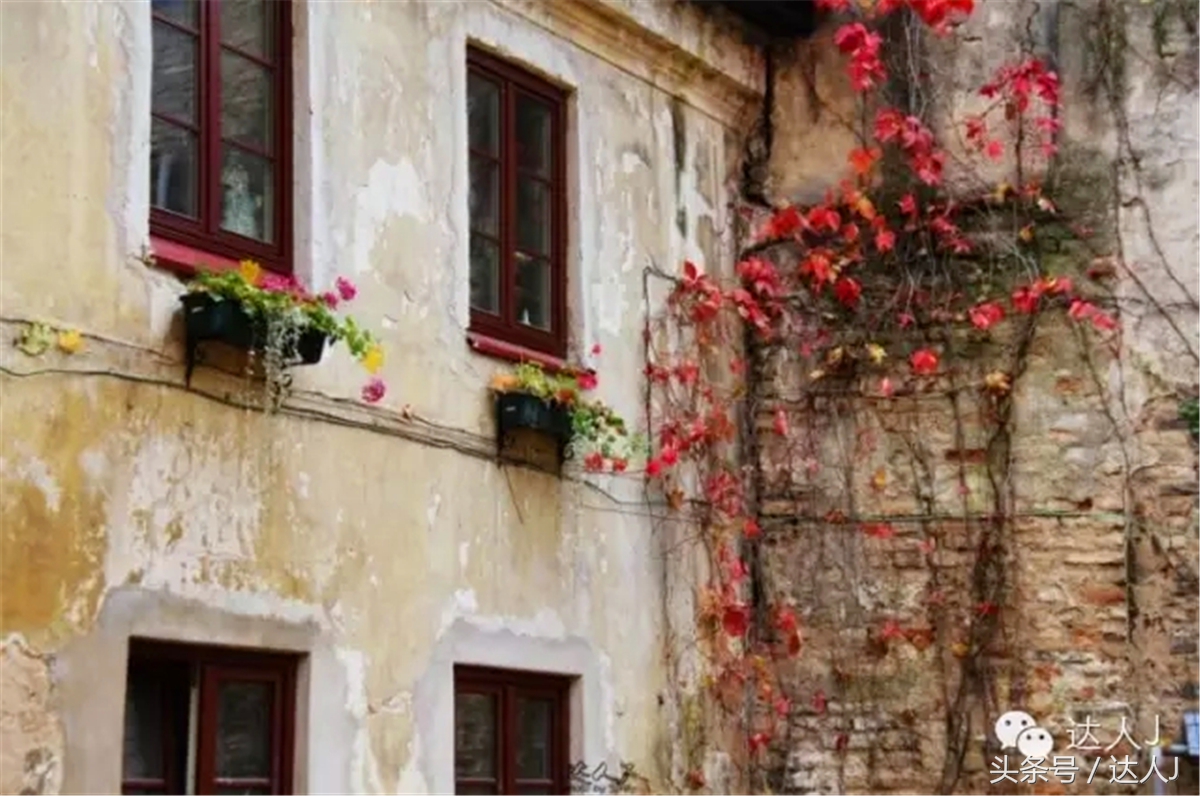 猜猜哪个国家连刺猬都有路牌？