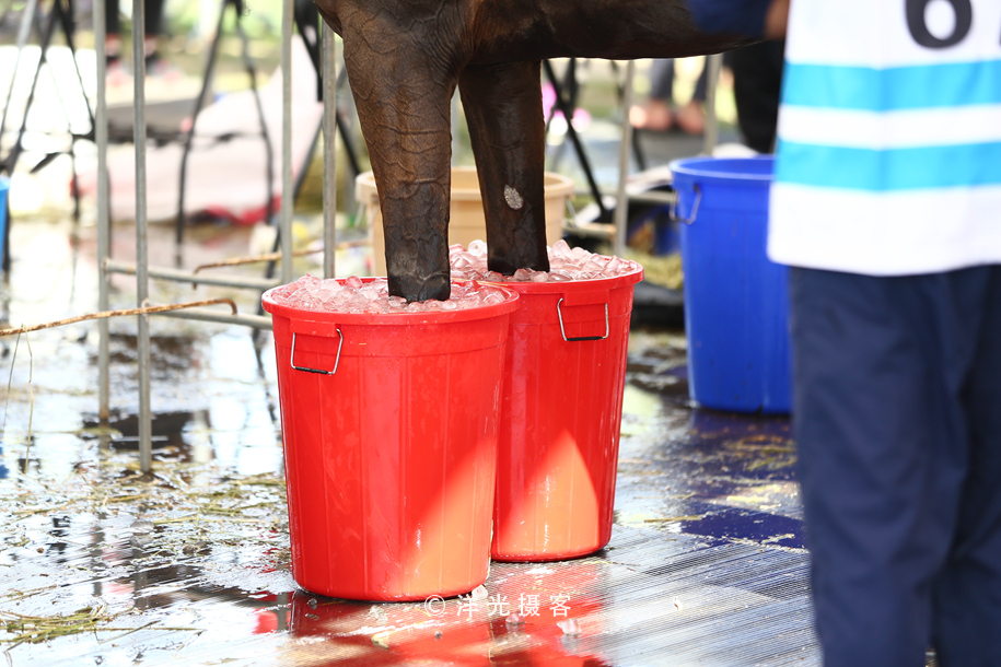 为什么迪拜土豪最有钱,真正的迪拜土豪