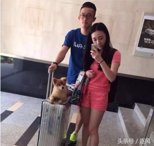 姜至鹏事件后续,姜至鹏张之悦