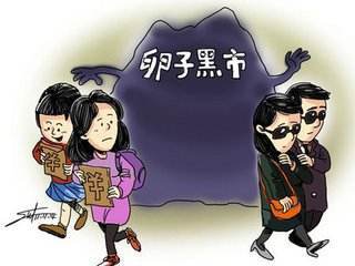 一名生殖医生说“新闻”:关于女大学生卖卵