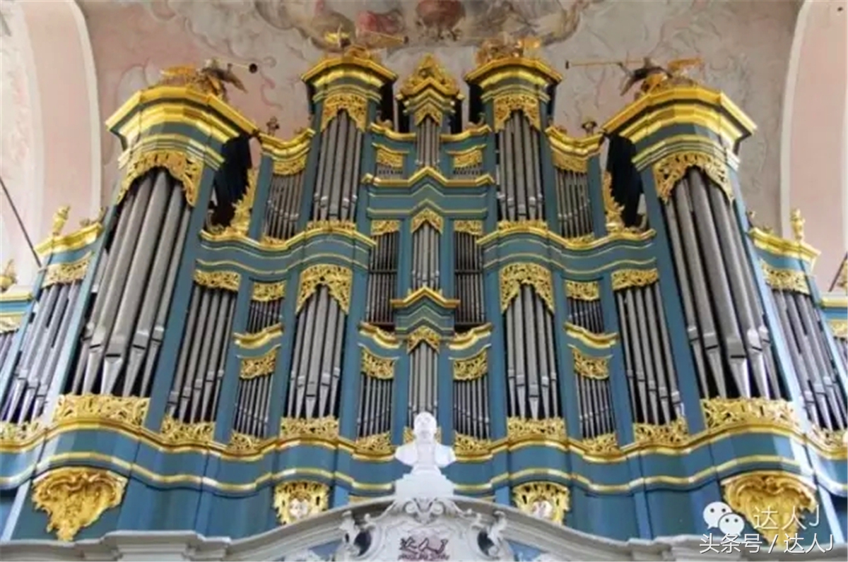 猜猜哪个国家连刺猬都有路牌？