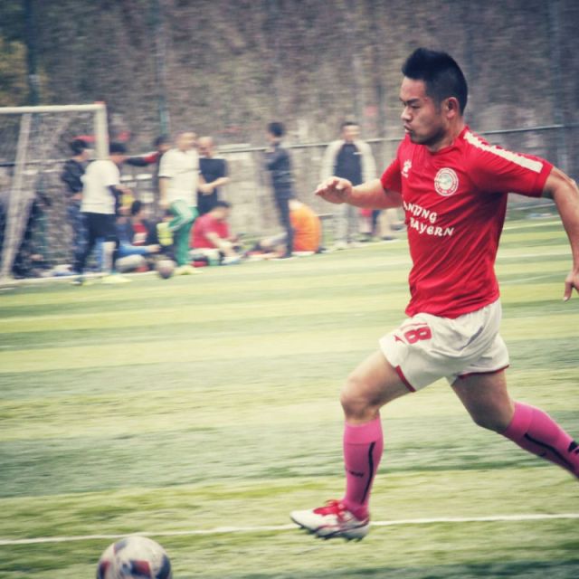 中国球迷唱南部之星,南部之星三冠王拜仁慕尼黑