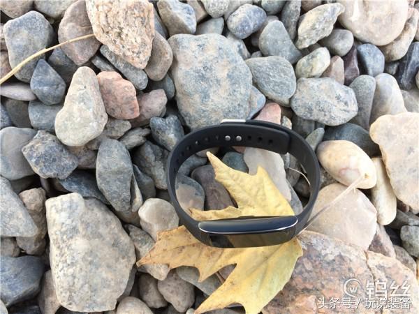 埃微手环推荐,手环测评高性价比