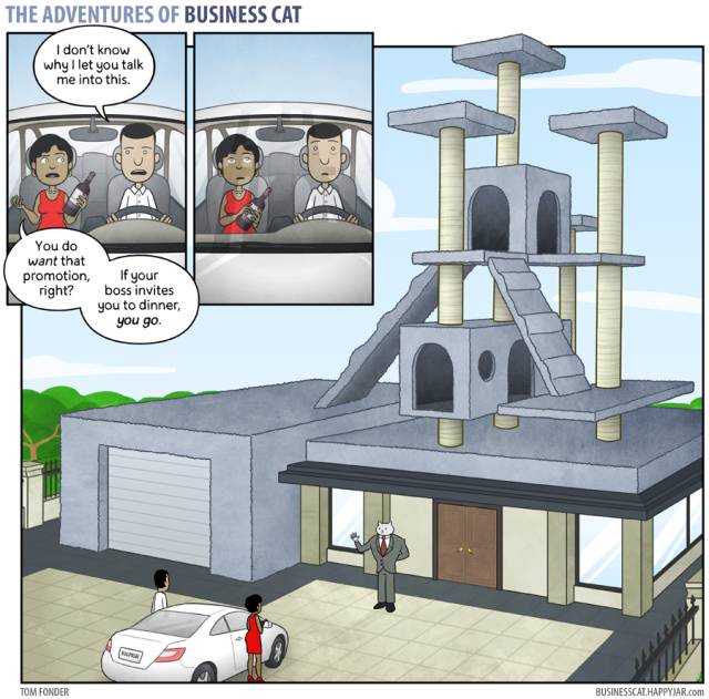 如果猫当老板会怎么样,假如老板是只猫该有多好