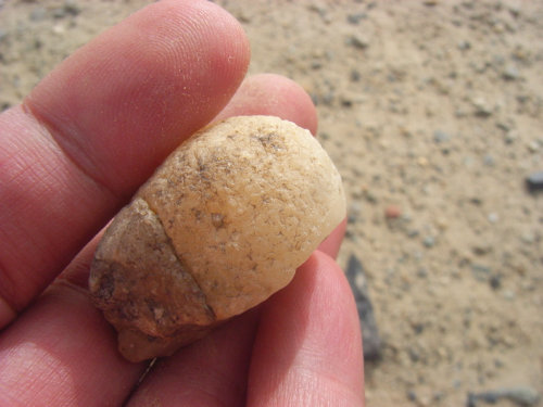 和田玉切割石头,和田玉籽料游记