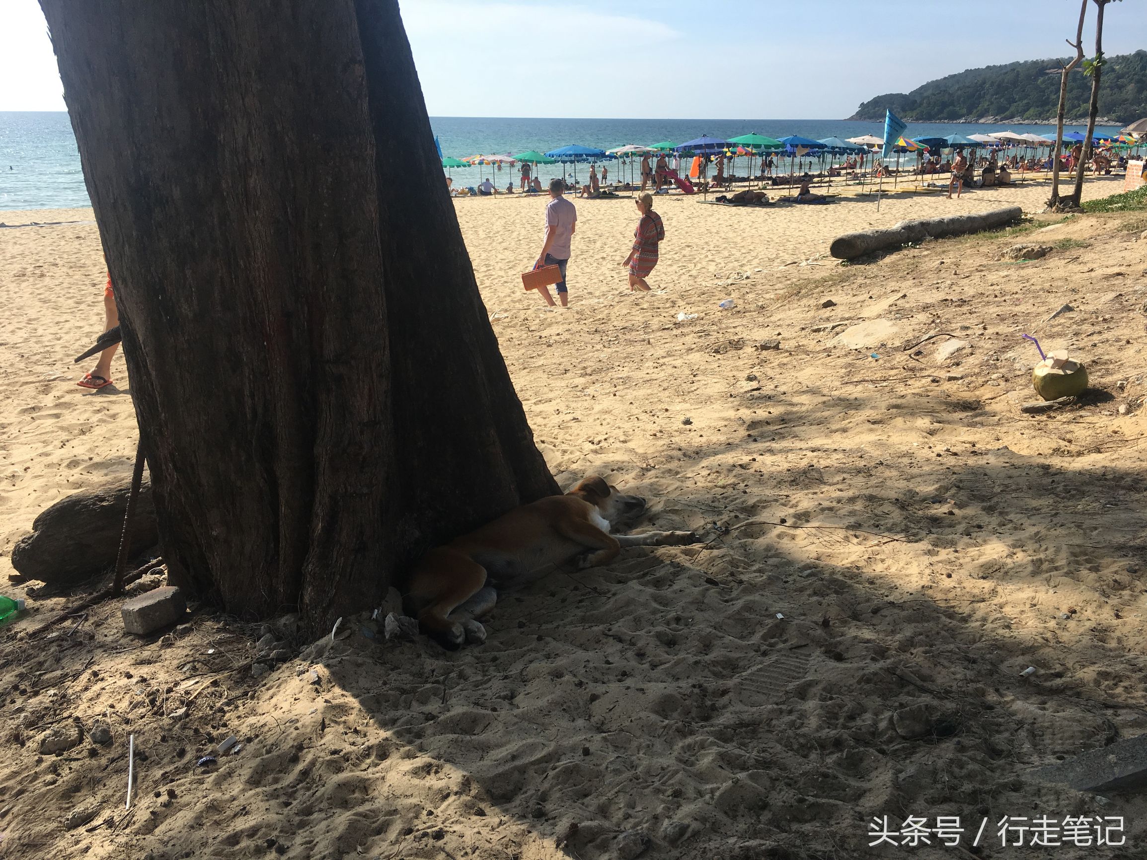 去泰国不去哪个地方,泰国旅游不去普吉会后悔吗