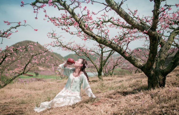 嗨哩文旅怎么样,嗨哩文旅最新视频