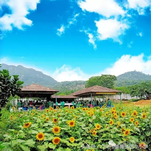 南海执信中学是公立还是私立,南海执信中学联系方式