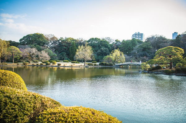 樱花烂漫几多时完整版,日本樱花节赏樱攻略视频大全