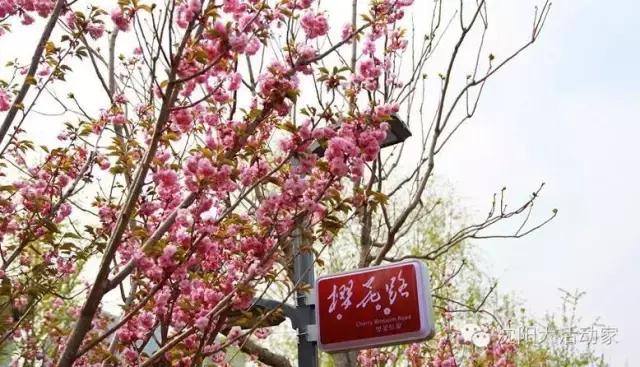 沈阳周边有什么踏青的好地方,沈阳野餐露营的好地方