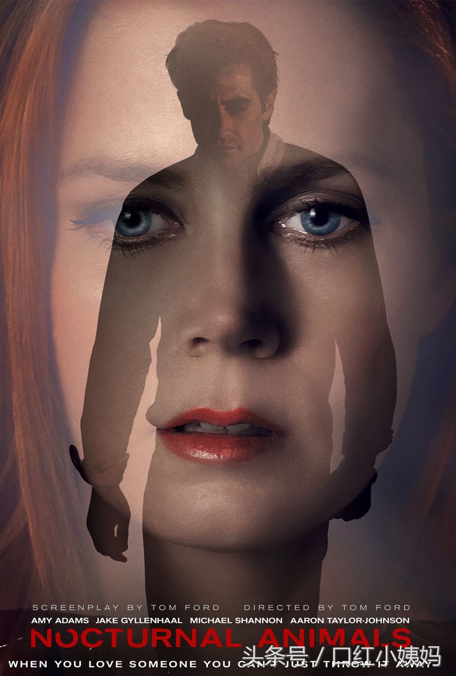 涨姿势的一百个问题,涨姿势科普短片