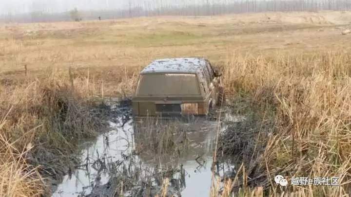 陪伴是最长情的告白——我和切诺基的故事