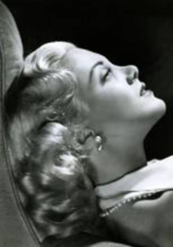 每日花语万寿菊,每日花语蔡依林