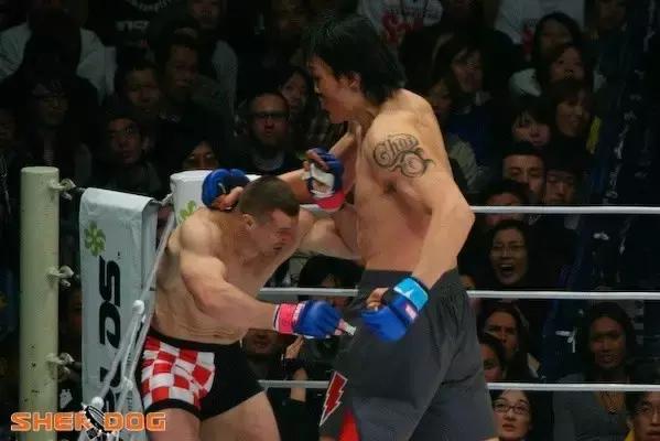 格斗沙皇菲多比赛视频,俄罗斯格斗沙皇菲多超劲爆ko集锦