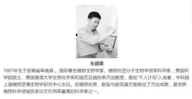 太和一中与阜阳一中哪个好,安徽太和一中pk阜阳一中