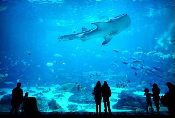 亚特兰大可口可乐,亚特兰大的可口可乐