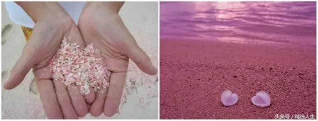 去了好多次海边,去了很多次的沙滩