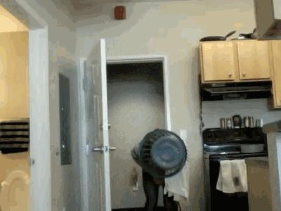 愚人节有效攻略,愚人节最强整愚人招数视频图片