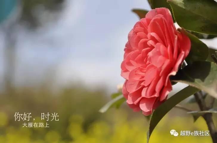 越野自驾游视频牧马人,牧马人越野车自驾游