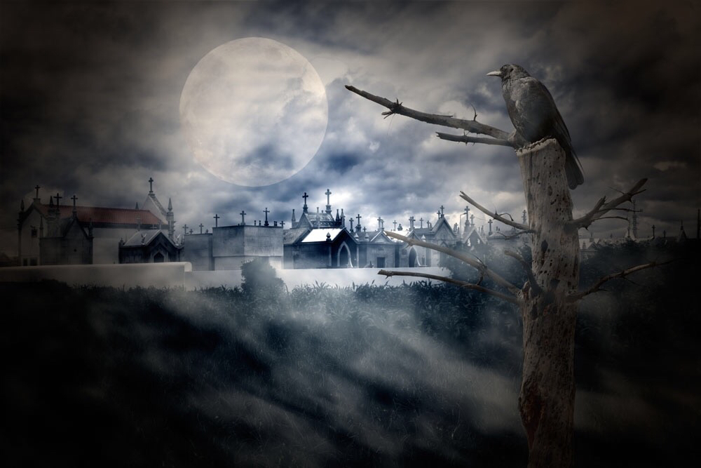 巨蟒的恐怖小故事,巨蟒食人的真实故事