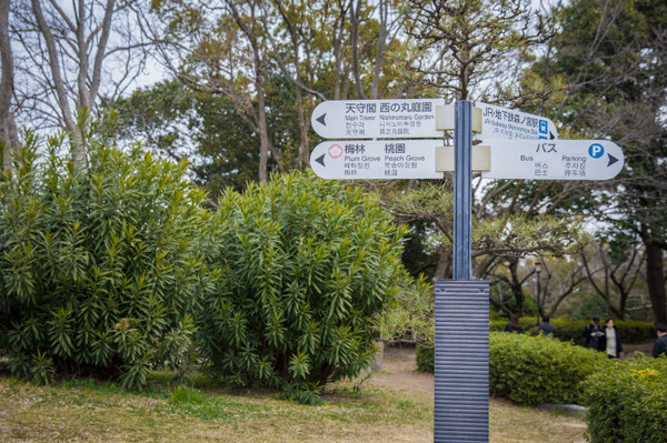 樱花烂漫几多时完整版,日本樱花节赏樱攻略视频大全