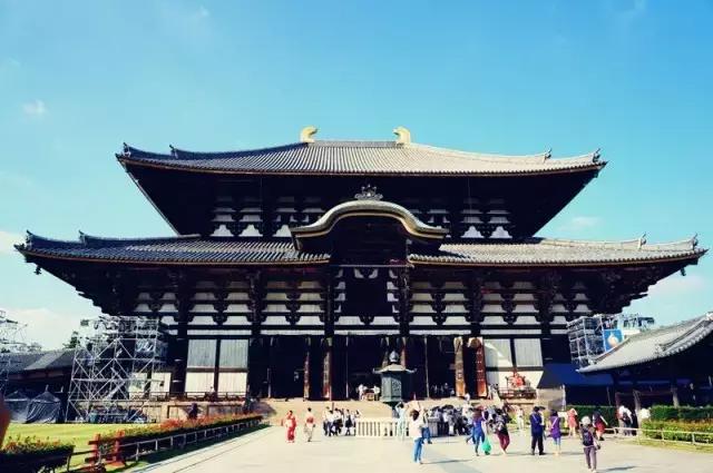 日本奈良看小鹿,日本奈良看小鹿视频