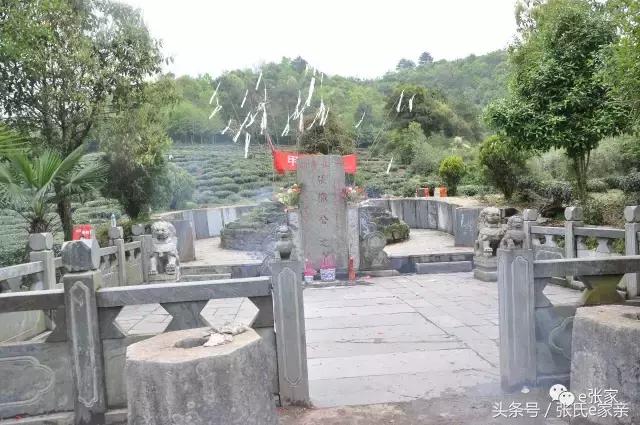 张姓为什么号称天下第一世家,张姓家谱道字辈排行