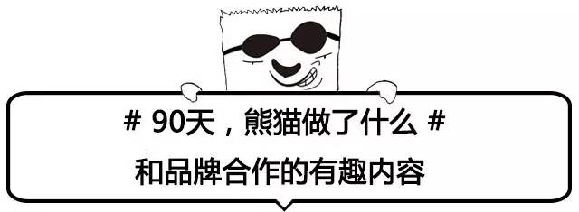 品牌与自媒体携手淘金11大招，获益轻松翻番？！｜熊猫创新榜
