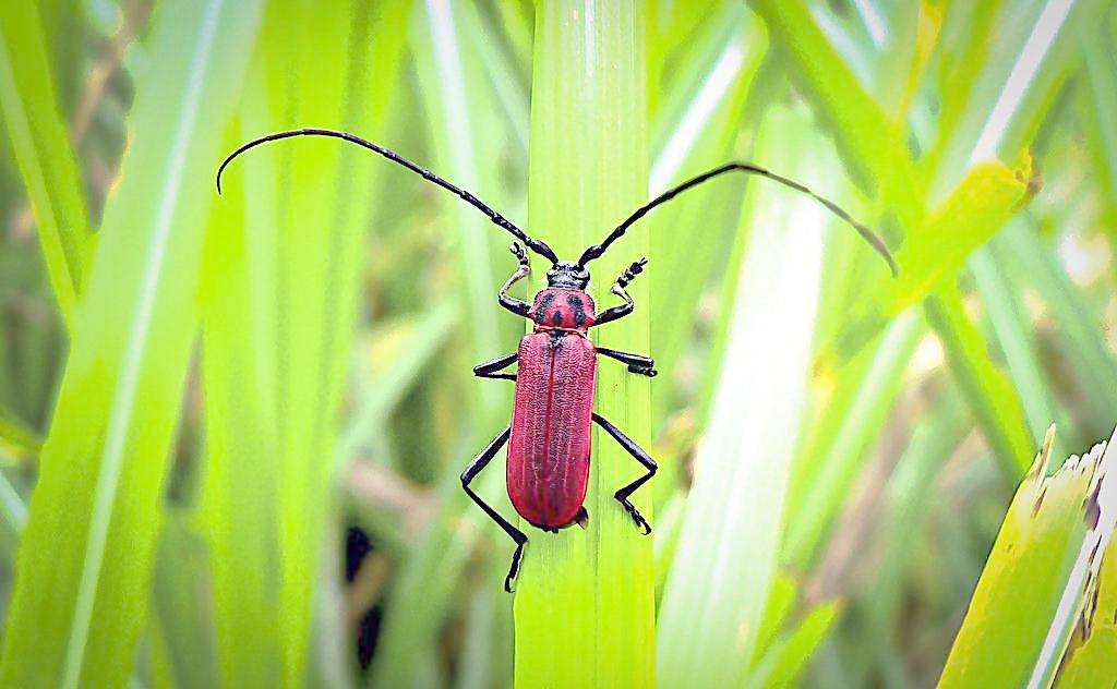 高中生物选修一实验总结,高中生物必考实验总结大全