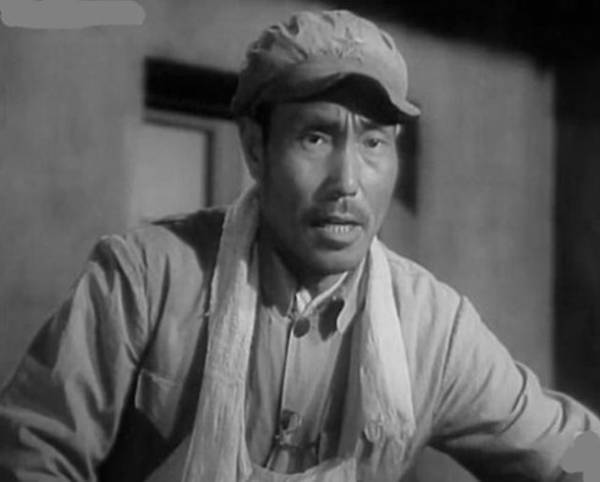 每日花语万寿菊,每日花语蔡依林