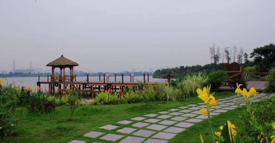 广州适合2月份去的湿地公园,假期旅游去哪里这里风景很迷人