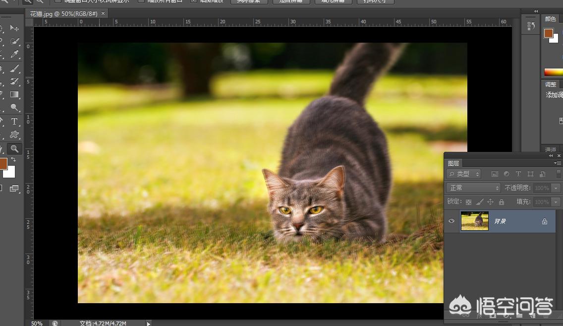 照片拍虚了ps怎么修复,拍了一张照片怎么用ps处理