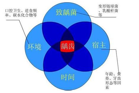 宝宝长虫牙啦正在换牙要怎么办,儿童漱口水可以预防虫牙