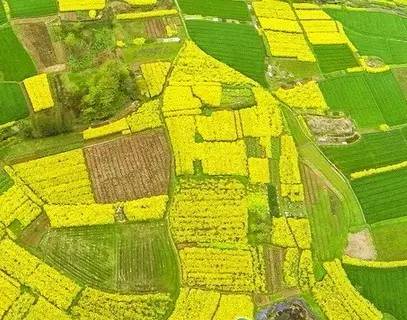 震惊！常州这些地方竟然这么黄！