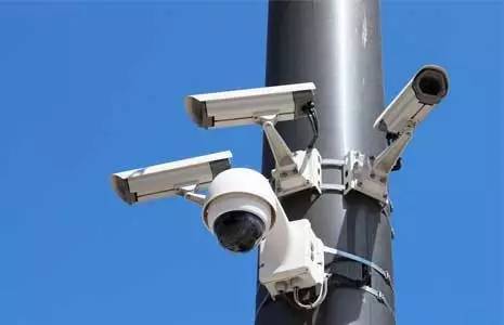 一定要“曝光”一下，这个警察的找鸡故事……