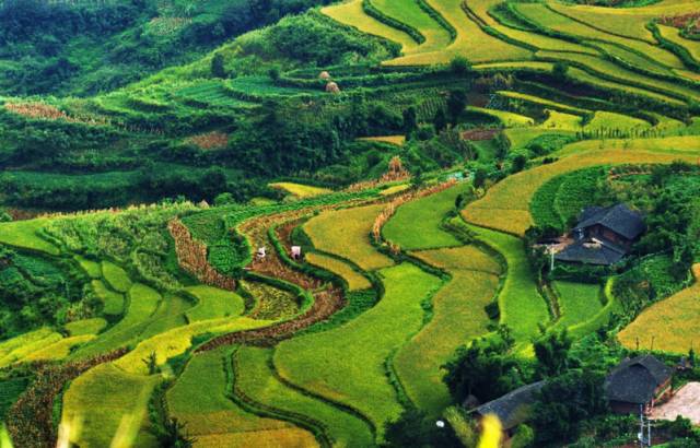 重庆巴南区哪里发展得好,重庆巴南区都有哪些地方