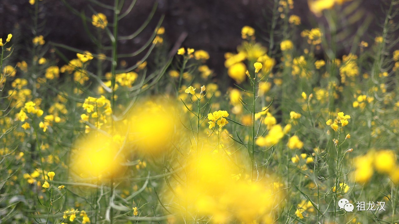 人生，难免因果重重：《易本道》第19期