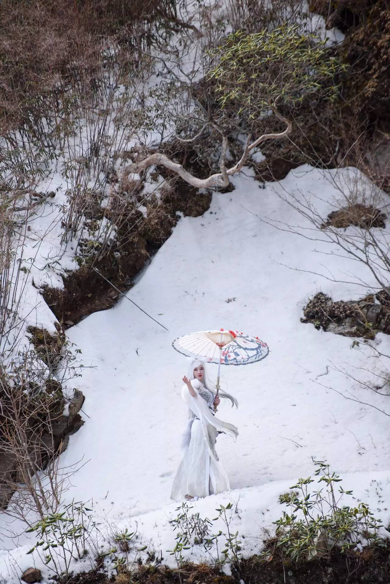 白雪X狐妖X小姐姐！超美独孤COS