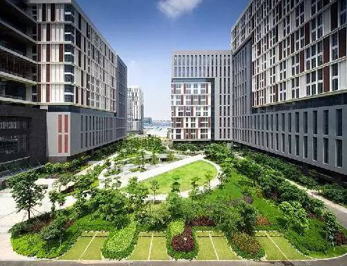 宁安路小学、宁德路小学、大枣园小学、李沧百果山、老虎山影视文化基地，一大批项目正在路上！