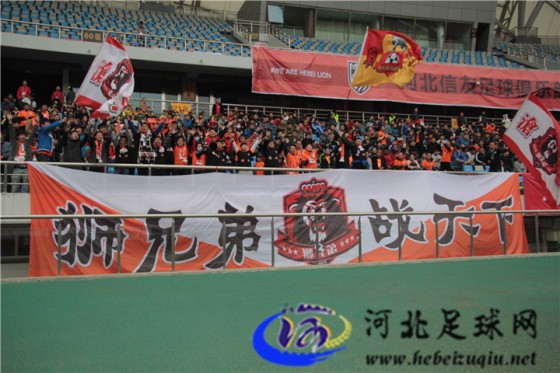 河北信友董事长周大为,信都国际周大为