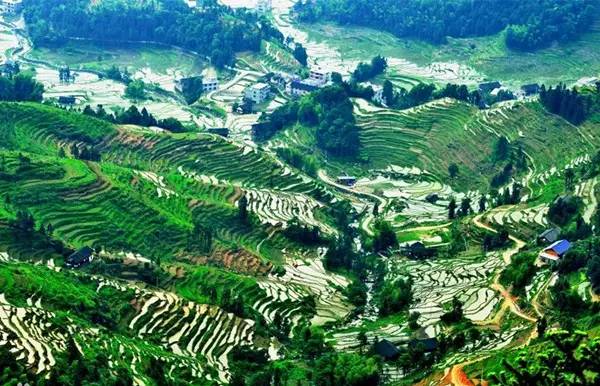 湖南十大风景名胜区有哪些,湖南十大最美风景区排行榜