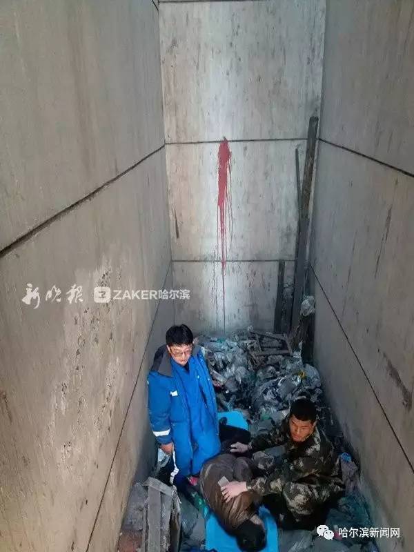 今日头条最奇葩的视频,今日头条最奇葩的事件