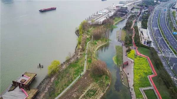 上海降温下雨了吗最近,上海降温最新通知