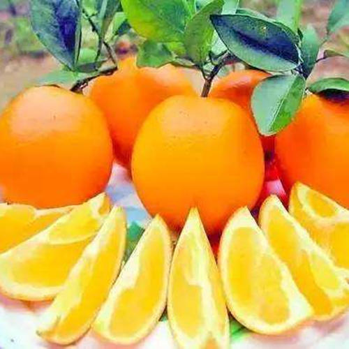 养生美食攻略吃货必备,养生美食推荐