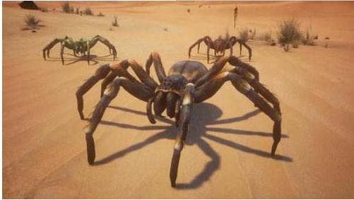 关于蜘蛛的一些可怕的事实