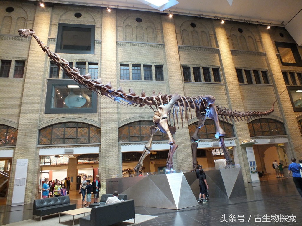 能源巨龙——富塔隆柯龙