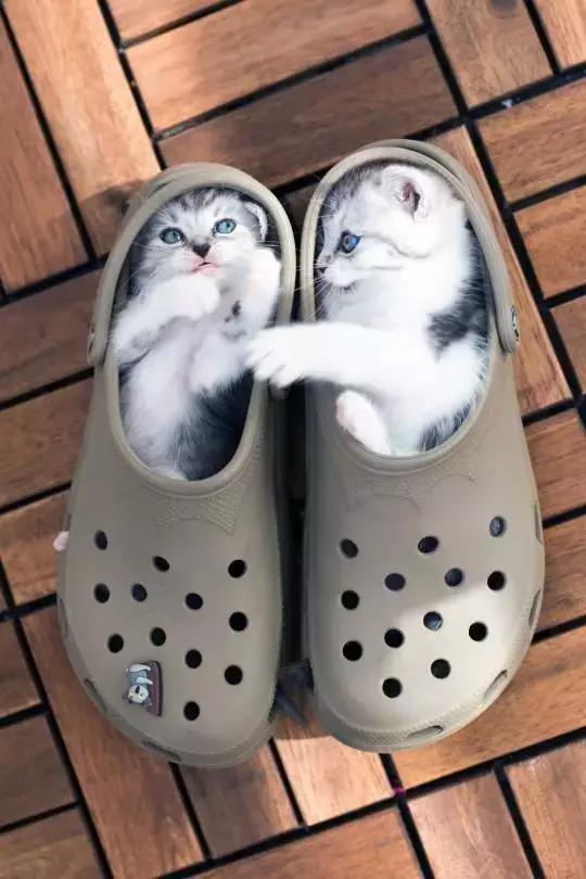 下雨天穿什么鞋子能防水,下雨穿什么防水鞋套好看